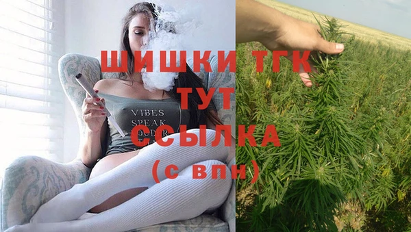 гидра Надым