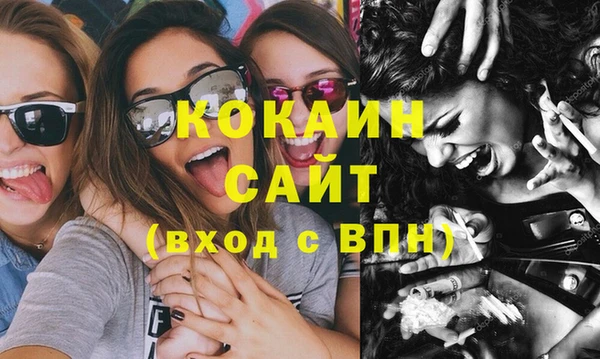 гидра Надым