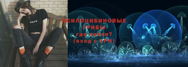 ПСИЛОЦИБИНОВЫЕ ГРИБЫ Нефтекумск