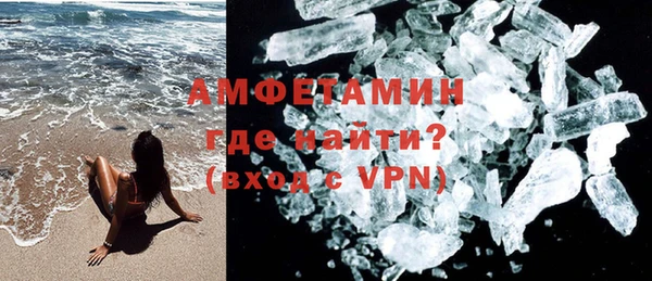 гидра Надым