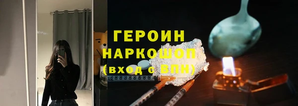 гидра Надым