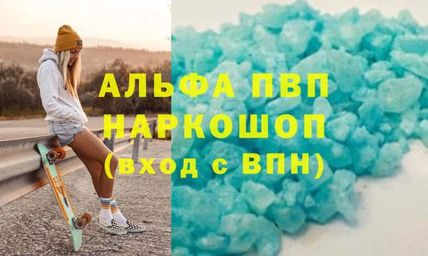 гидра Надым