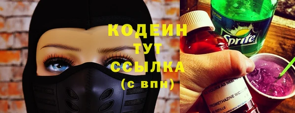 гидра Надым