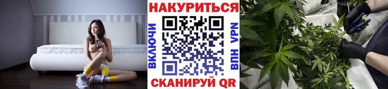 как найти наркотики  мориарти Telegram  Конопля сатива  Горячий Ключ 